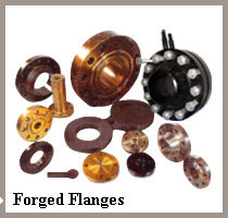 Forged Flanges